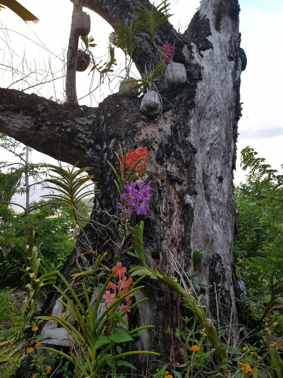 Secret Villa La Digue Exterior photo