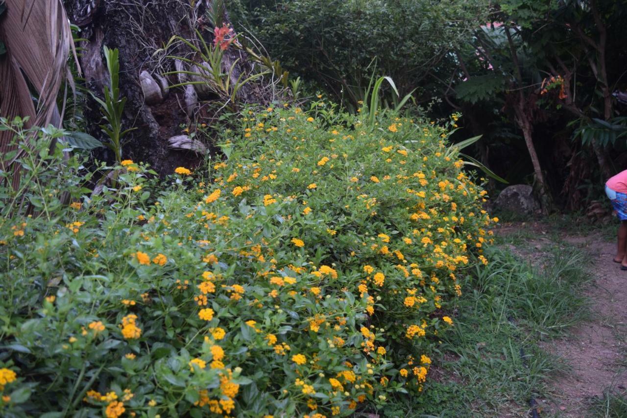 Secret Villa La Digue Exterior photo